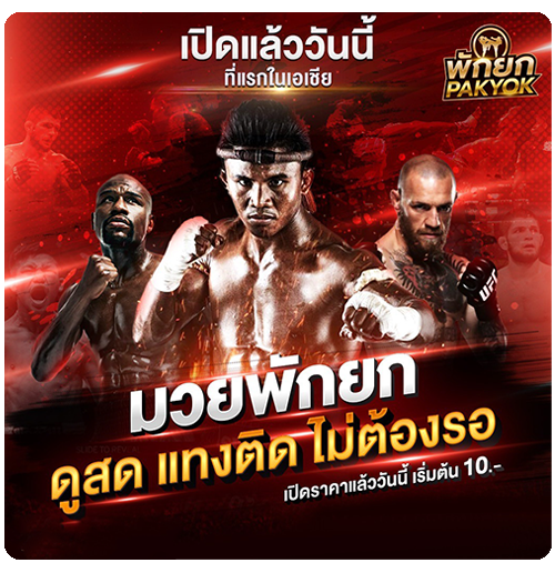 แทงมวยออนไลน์